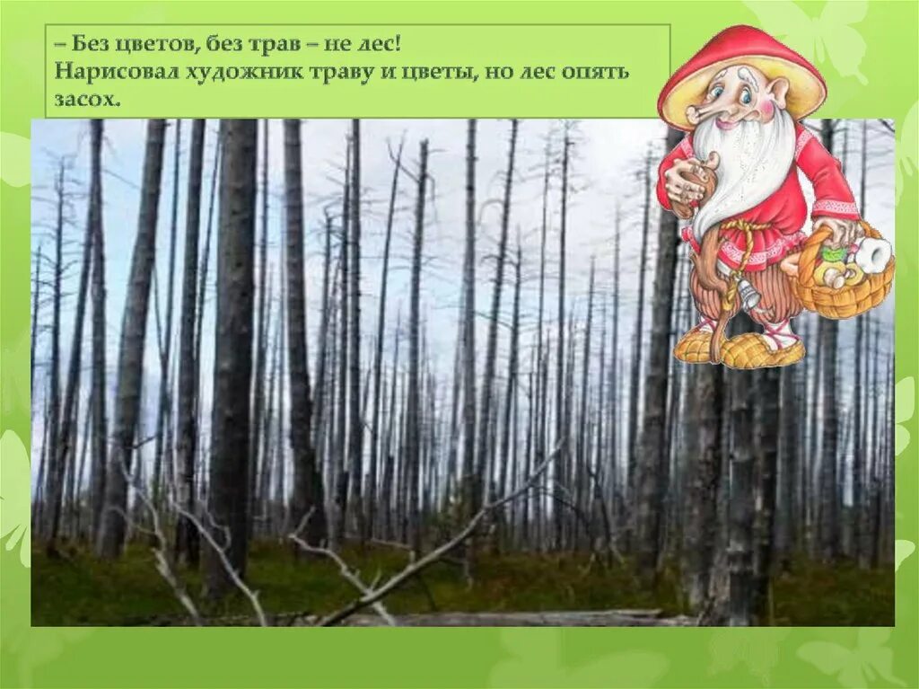 Лес легкие планеты картинки. У нас в лесу за такое. Правильная одежда для леса. Стишок про лес. У нас в лесу за такое.