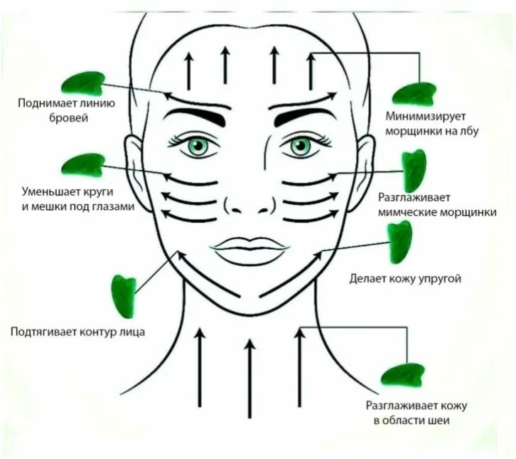 Массажные линии лица для Гуаша скребка. Массажные линии для Гуаша Гуаша лица. Скребок Гуаша схема массажа. Схема массажа Гуаша для лица скребком.