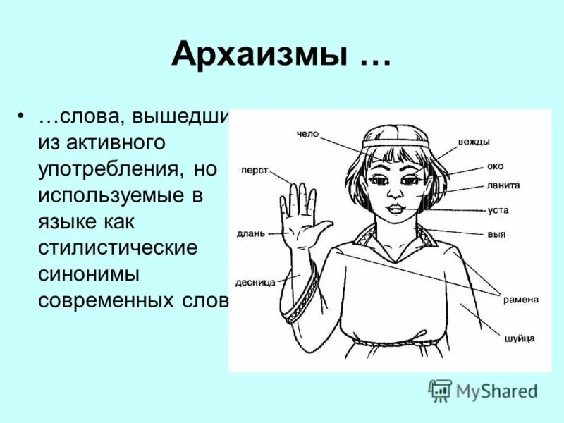Устаревшие слова рисунки. Длань ланта уста перси. Архаизм. Чело это устаревшее слово. Название частей тела.