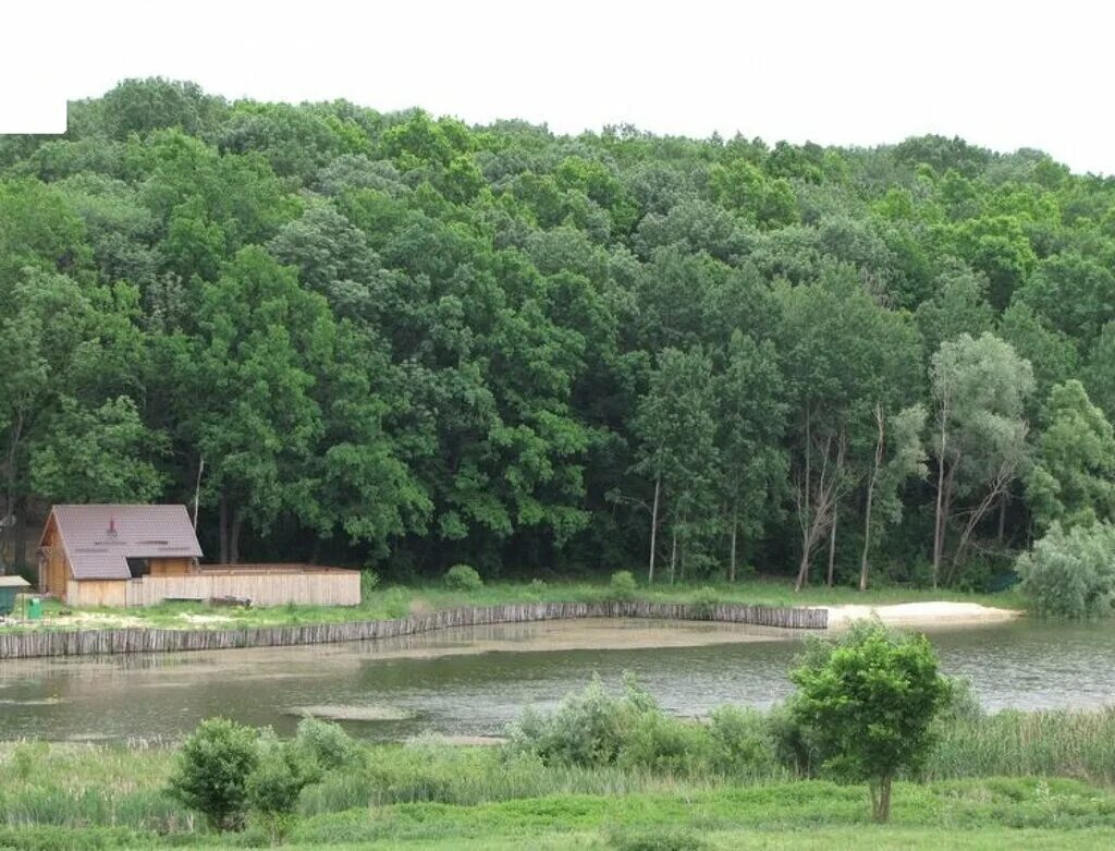 музей чехова мелихово директор. база отдыха мелихово корочанский район. мелихово база отдыха белгород. база мелихово белгород. мелихово белгородская область.
