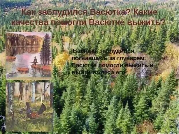 Васюткино озеро вопросы как заблудился васютка. Как заблудился Васютка. Как потерялся Васютка. Как заблудился Васютка Астафьев. Становление характера Васютки.