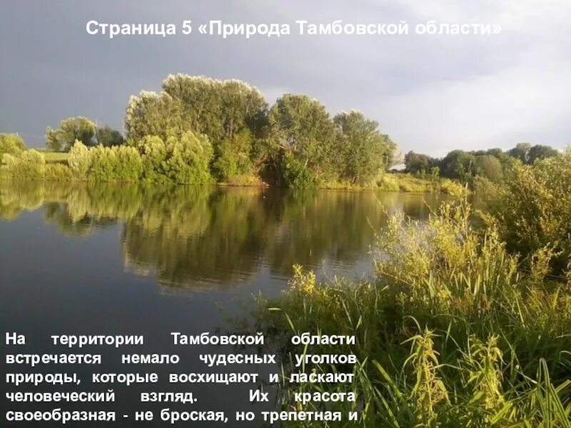Презентация на тему родной край. Край мой тамбовский. Природа тамбовского края. Тамбовский край. Презентация тамбовский край.