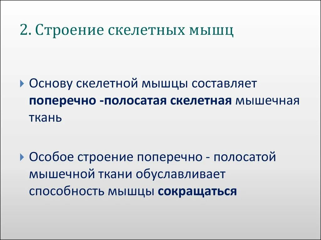 Основу скелетной мускулатуры составляют ответ. Основу скелетной мускулатуры составляют ответ