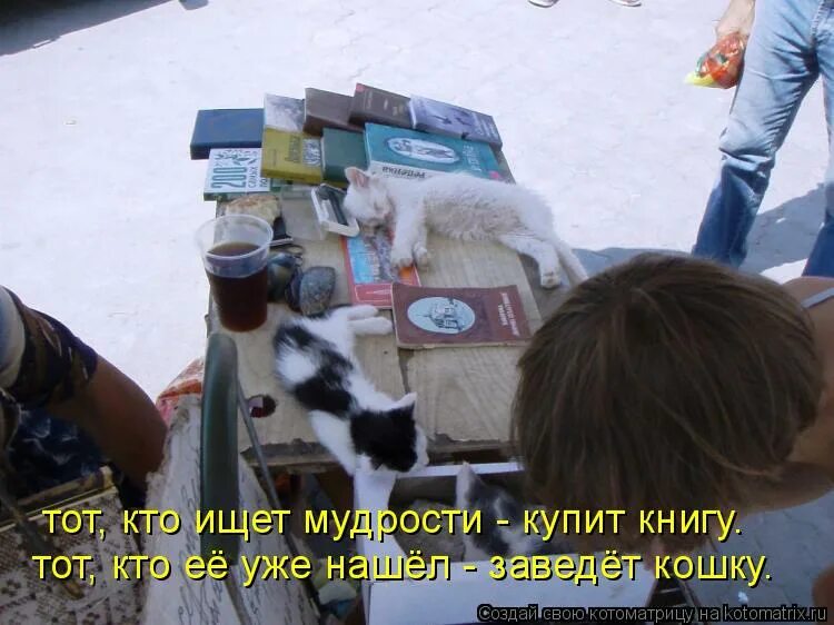 заведу кошек буду вечно пьяна