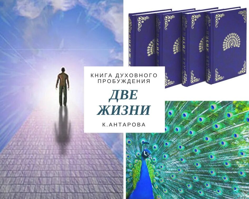 Две жизни антарова о чем. Две жизни Антарова Конкордия Евгеньевна. Книга две жизни Конкордия Антарова. Две жизни Конкордия Антарова 1 том. Конкордия Антарова две жизни иллюстрации.