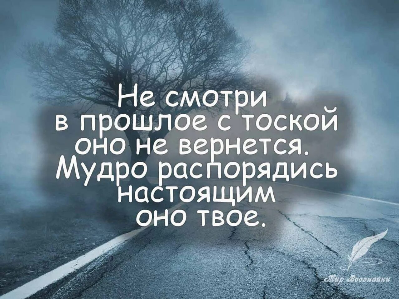 Цитаты про жизнь со смыслом красивые мудрые. Умные цитаты. мудрые цитаты. мудрые фразы. мудрые изречения.