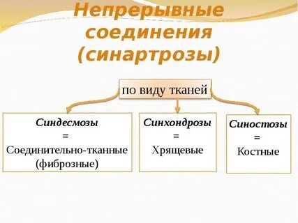 Виду непрерывно