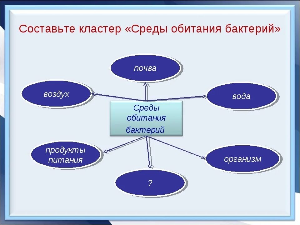 Среды обитания бактерий схема. Кластер среды обитания. Кластер среда обитания бактерий. Кластер по биологии среда обитания.