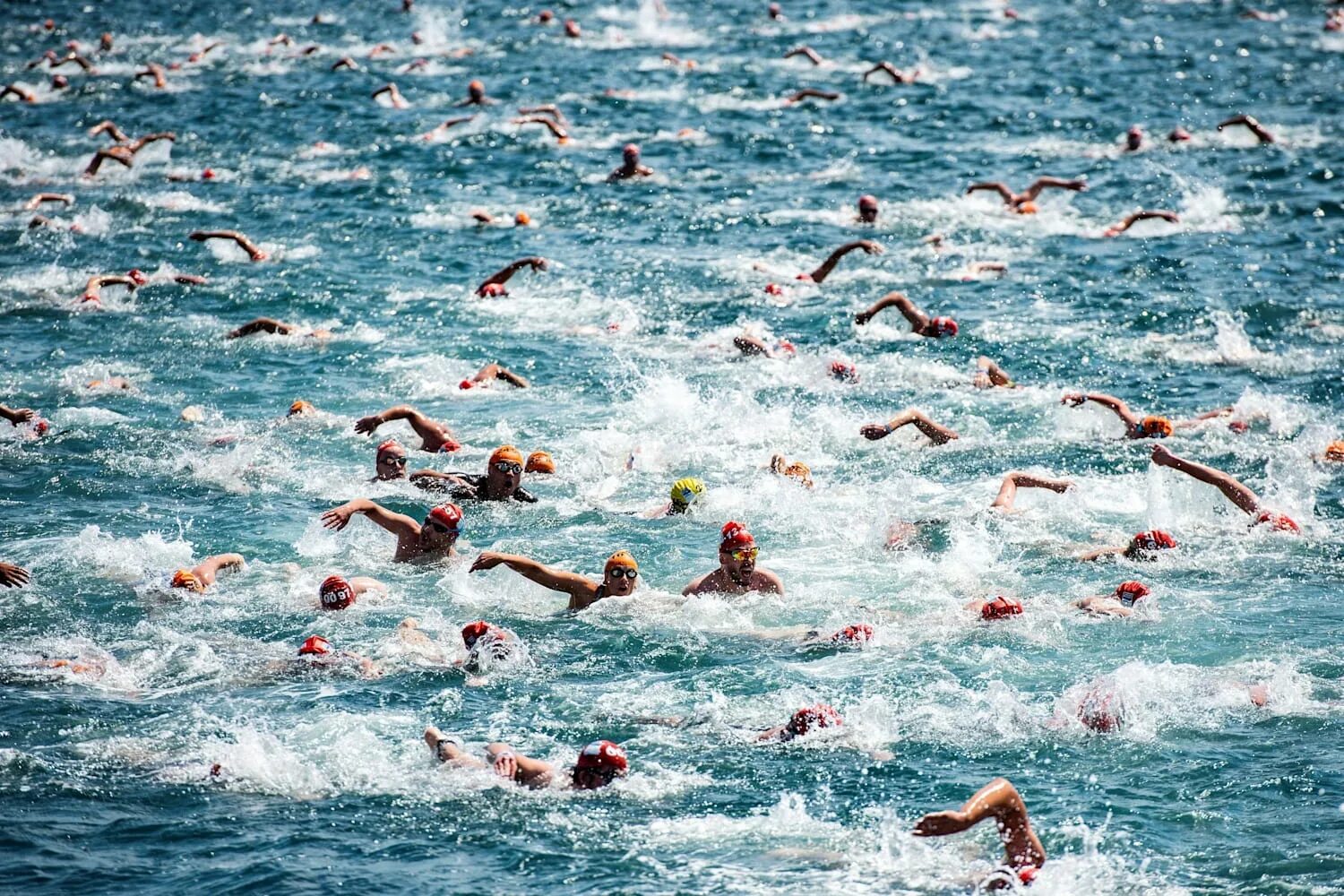 Переплыть океан история. Босфор заплыв. Bosphorus Cross Continental Swim. Плавание на открытой воде. Плавать в море.