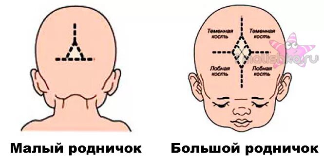 Измерение родничка. Измерение большого родничка у ребенка. Измерение большого родничка у новорожденного. Измерение размеров большого родничка. Измерение большого родничка у новорожденного алгоритм.