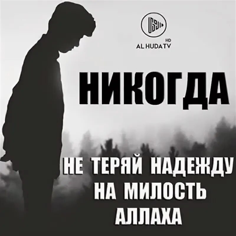 Не теряя надежды усовестить изменников. Не теряйте надежду на милость Аллаха. Никогда не теряй надежду на милость. Никогда не теряй милость Аллаха. Никогда не теряйте надежды на милость Аллаха.