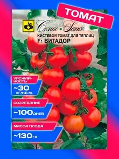 Томат анюта