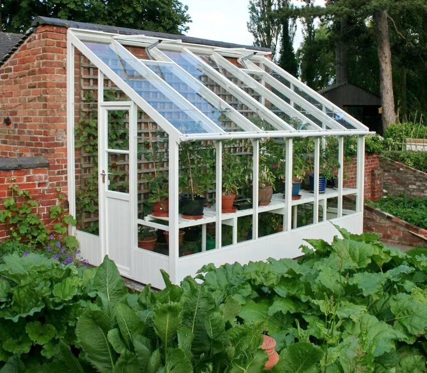 Односкатная теплица купить. Парник Greenhouse. Теплица пристенная односкатная. Теплица односкатная 2.5x6. Теплица огуречник.