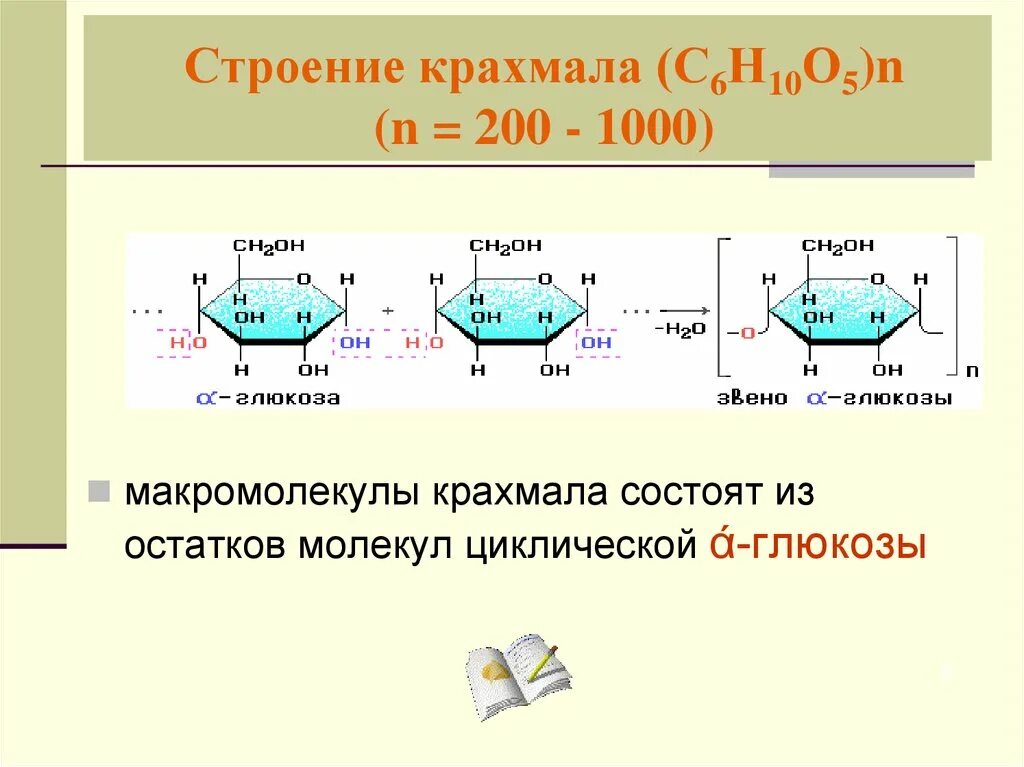 Структура молекулы крахмала