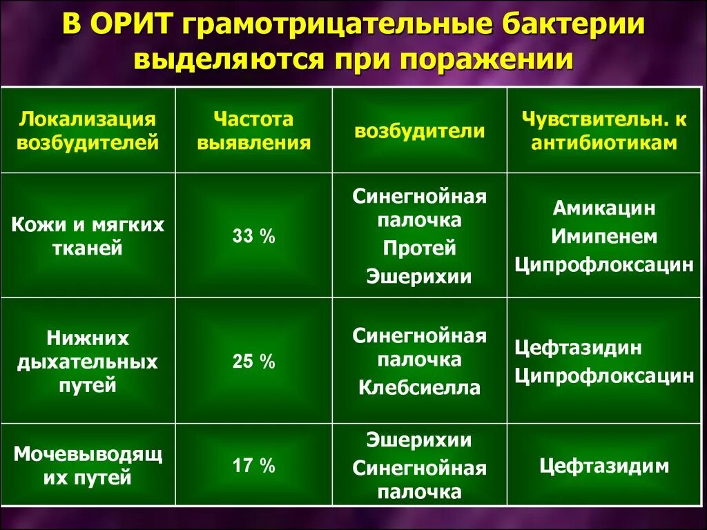 Грамм плюс грамм минус. Грамм отрицательные микроорганизмы. Грамотрицательные бактерии. Перечень грамотрицательных бактерий. Грамм положительные микроорганизмы.