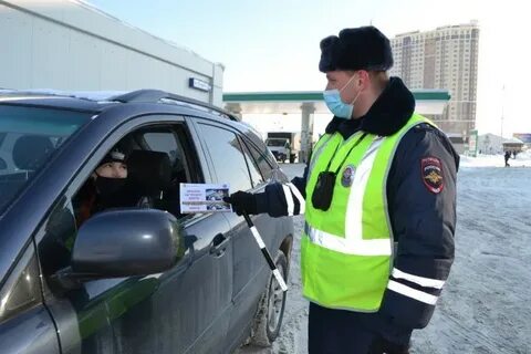 Гаи жуковский