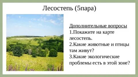 Гп лесостепи
