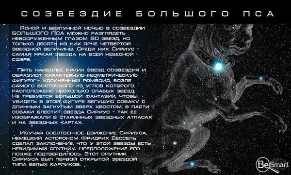 Сириус звезда в созвездии. Созвездие большого пса. Созвездие гончих псов сириус. Легенды о созвездии большого пса 2 класс. Большой пес интересные факты.