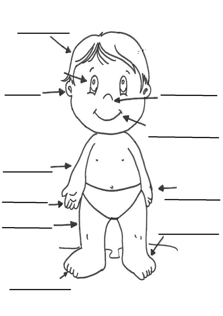 Раскраска на английском для детей. Раскраска на английском для детей. Coloring body parts. Coloring body parts. Body английский для детей.