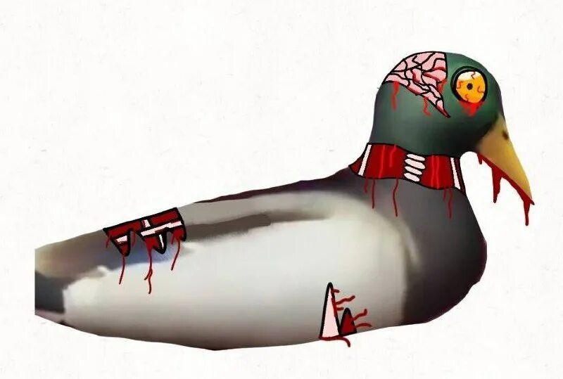 мягкая игрушка лама альпака белая. уточка лама. имена для лам мальчиков. плюшевая лама альпака. альпака белая.