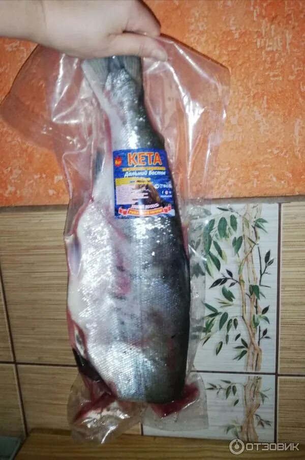 Кетов камчатка