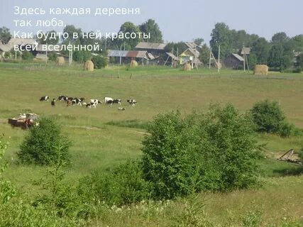 Погода зеленцово вологодской