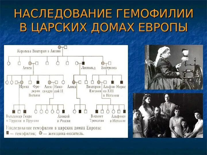 Рождение ребенка больного гемофилией. Гемофилия в семье Романовых родословная. Генеалогическое дерево царской семьи Романовых по гемофилии. Гемофилия у Романовых Древо. Наследование гемофилии в семье Романовых.