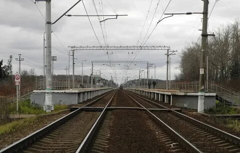 Сушкинская москва расписание на сегодня