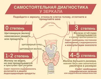 Как узнать симптомы щитовидки у женщин