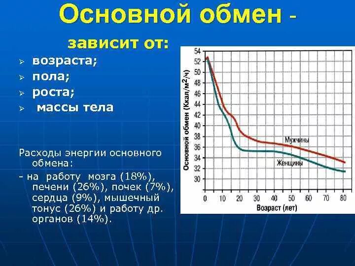 Как зависит обмен веществ от температуры тела