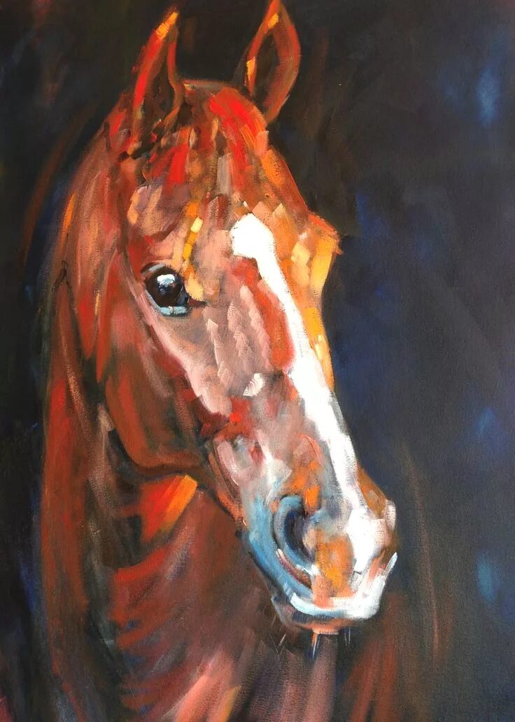 Картина лошади. Лошадь маслом. Лошади в живописи. Голова лошади живопись.