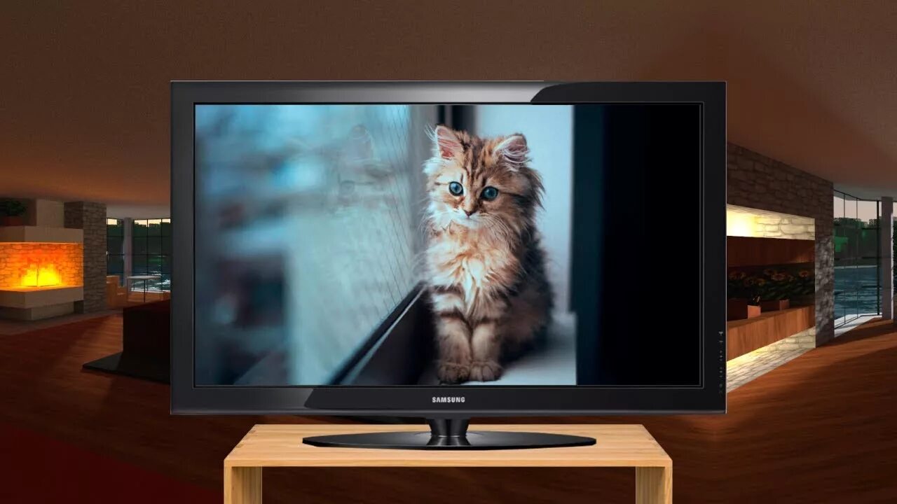 Включи на телевизоре животных. Включенный телевизор. Современный включенный телевизор. Включает ТВ. Обычный телик.