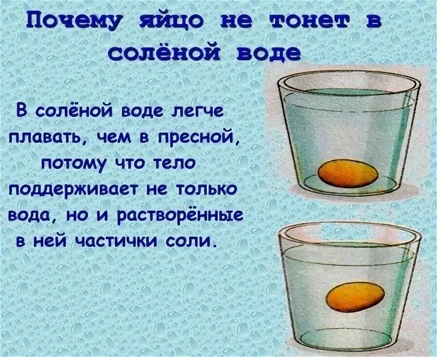 Почему яйцо в воде. Свежее яйцо не тонет в воде. если яйцо тонет в воде. если сырое яйцо не тонет в воде. тонет ли яйцо в соленой воде.