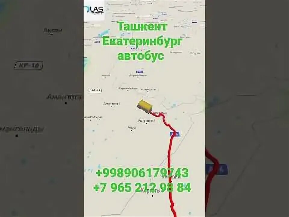 Москва ташкент. Ташкент казань. Международный автобус. Белить екатеринбург ташкент. Екатеринбург ташкент.