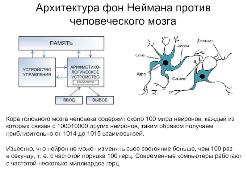 Нейроны головного мозга. Нейроны головного мозга строение. Количество нейронов у человека. Кол-во нейронов в мозге человека.