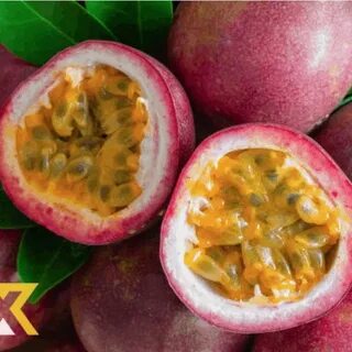 Passion fruit отзывы