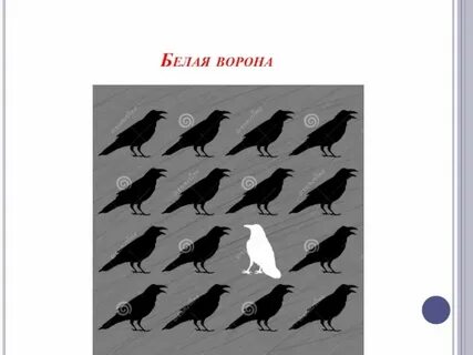 Белая ворона это словосочетание