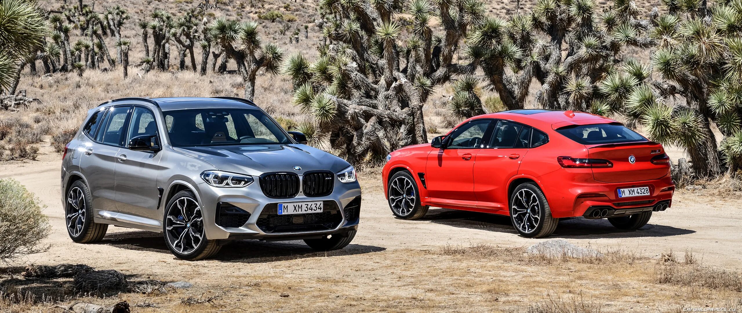 X6 vs x4