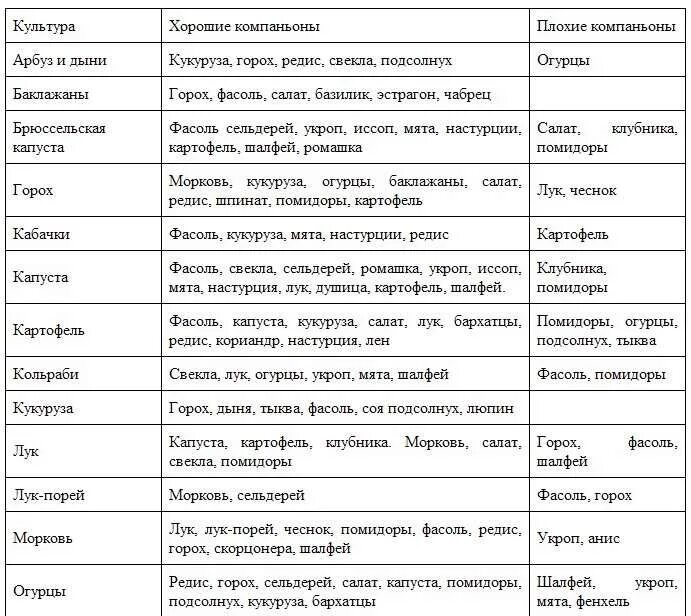 Таблица соседства на грядках. Совместимые посадки овощей в огороде таблица. Совместимость посадок овощей на грядках таблица. Совместимость овощных культур при посадке на грядке таблица. Совместные посадки овощей на грядке таблица.