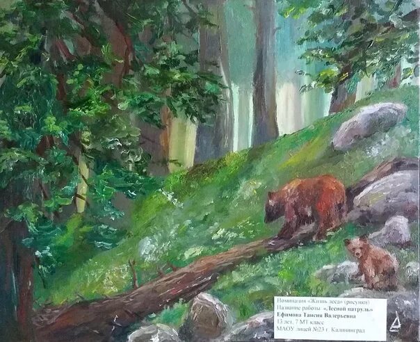 Рисунок на тему лес. Детский рисунок лес. Лес глазами детей конкурс. Лес глазами детей рисунки. Лес моими глазами.