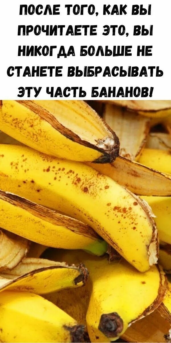 Сколько можно бананов в день взрослому человеку. Кожура банана. Полезна ли кожура банана. Бананы с кожурой ешь. Полезны ли бананы.