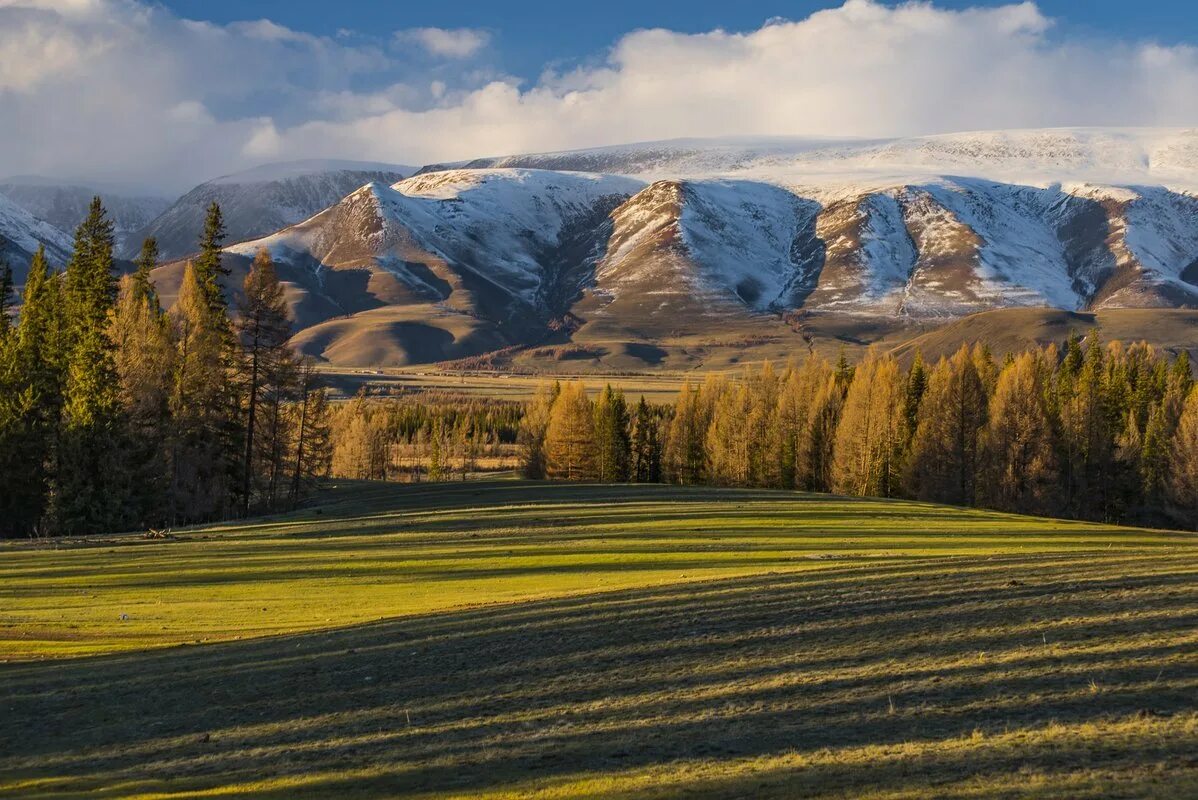 Что такое природный ландшафт. Барнаул горы Алтая. Ландшафт Алтайского края. Золотые горы Алтая ландшафт. Барнаул Алтайский край природа.
