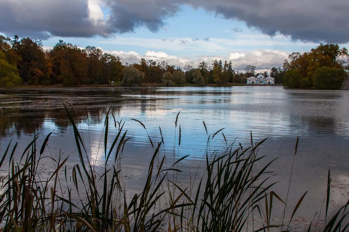 Царское село пруд. Екатерининский парк озеро. Царское село большой пруд. Екатерининский парк большой пруд.