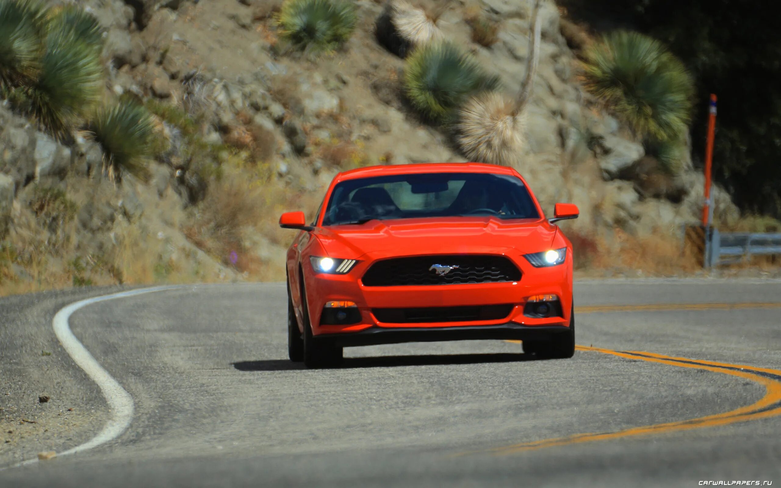 Расход форд мустанг. Форд Мустанг 2015. Ford Mustang 2015. Ford Mustang ECOBOOST 2015. Ford Mustang 2.