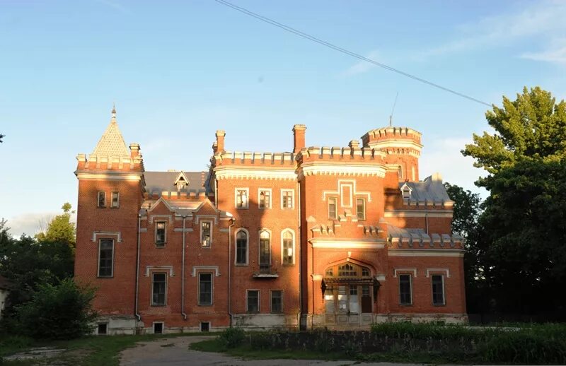 Рамонь Оренбургский дворец. Замок в Тербунах Липецкой области. Замок в Борках Липецкой. Борки замок Тербунский район.