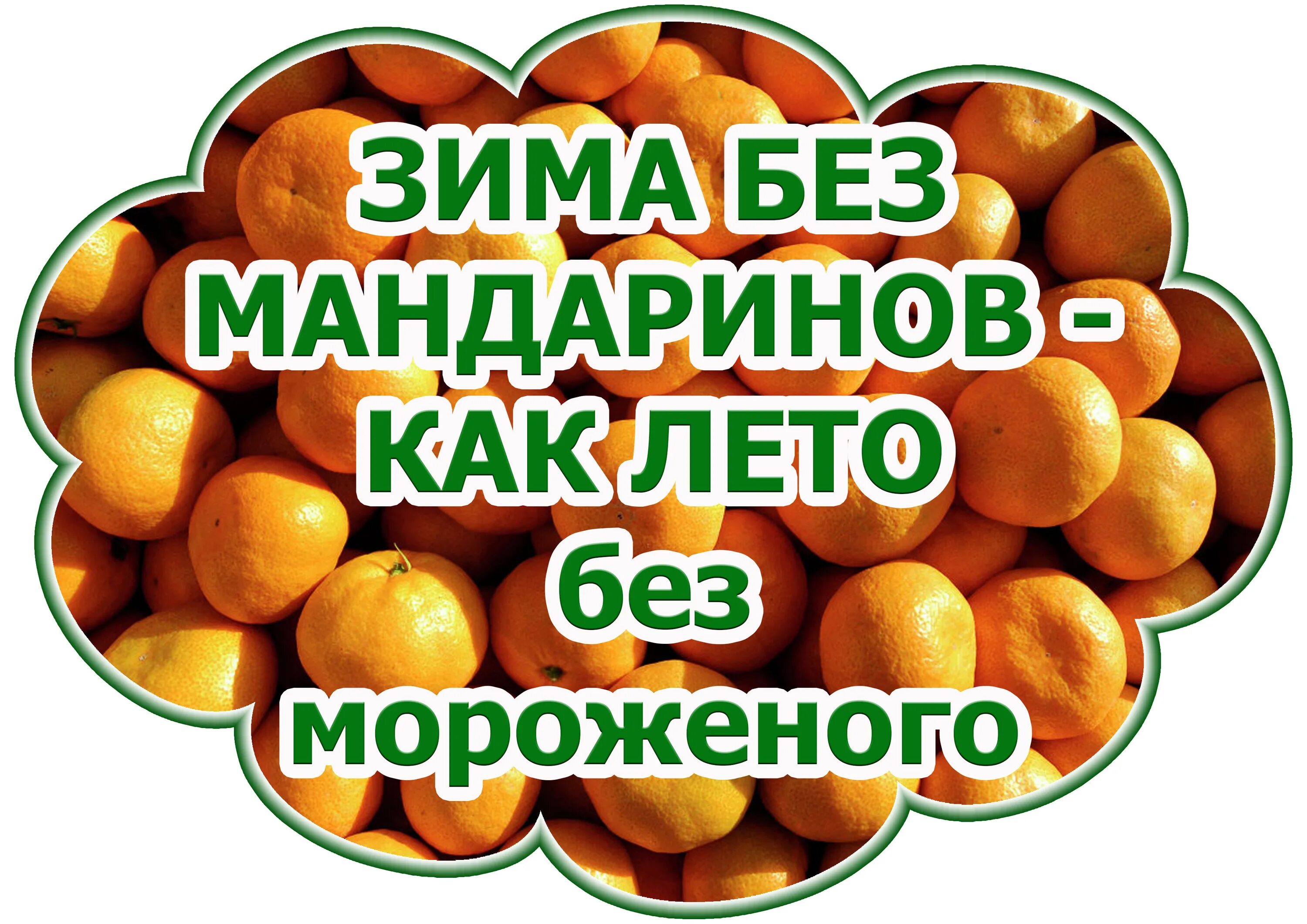 Мандарины шампус надо доставать поднимайтесь. Реклама мандаринов. лозунг мандарин. цитаты про мандарины. интересные факты о мандаринах.
