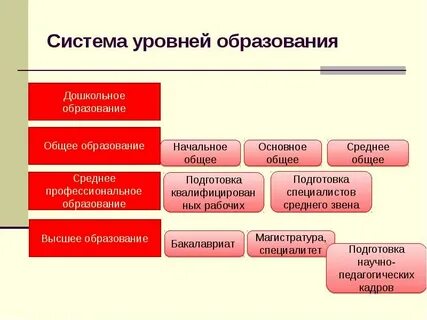 Что делает система образования
