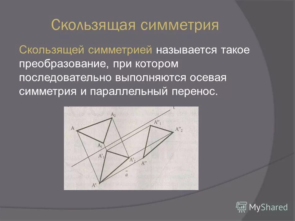 Боковая симметрия. Боковая симметрия