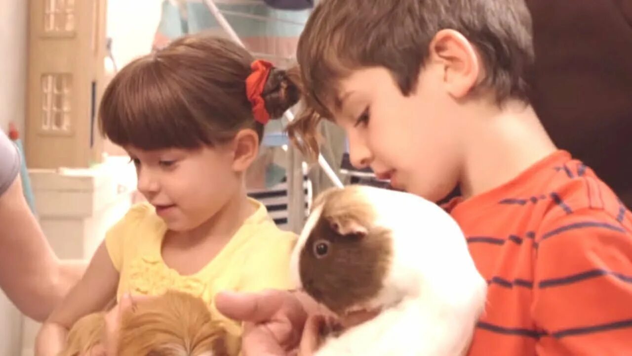 Topsy ve Tim Türkçe - Evcil Hayvan bakımı - Sezon 1 Bölüm 10 - YouTube