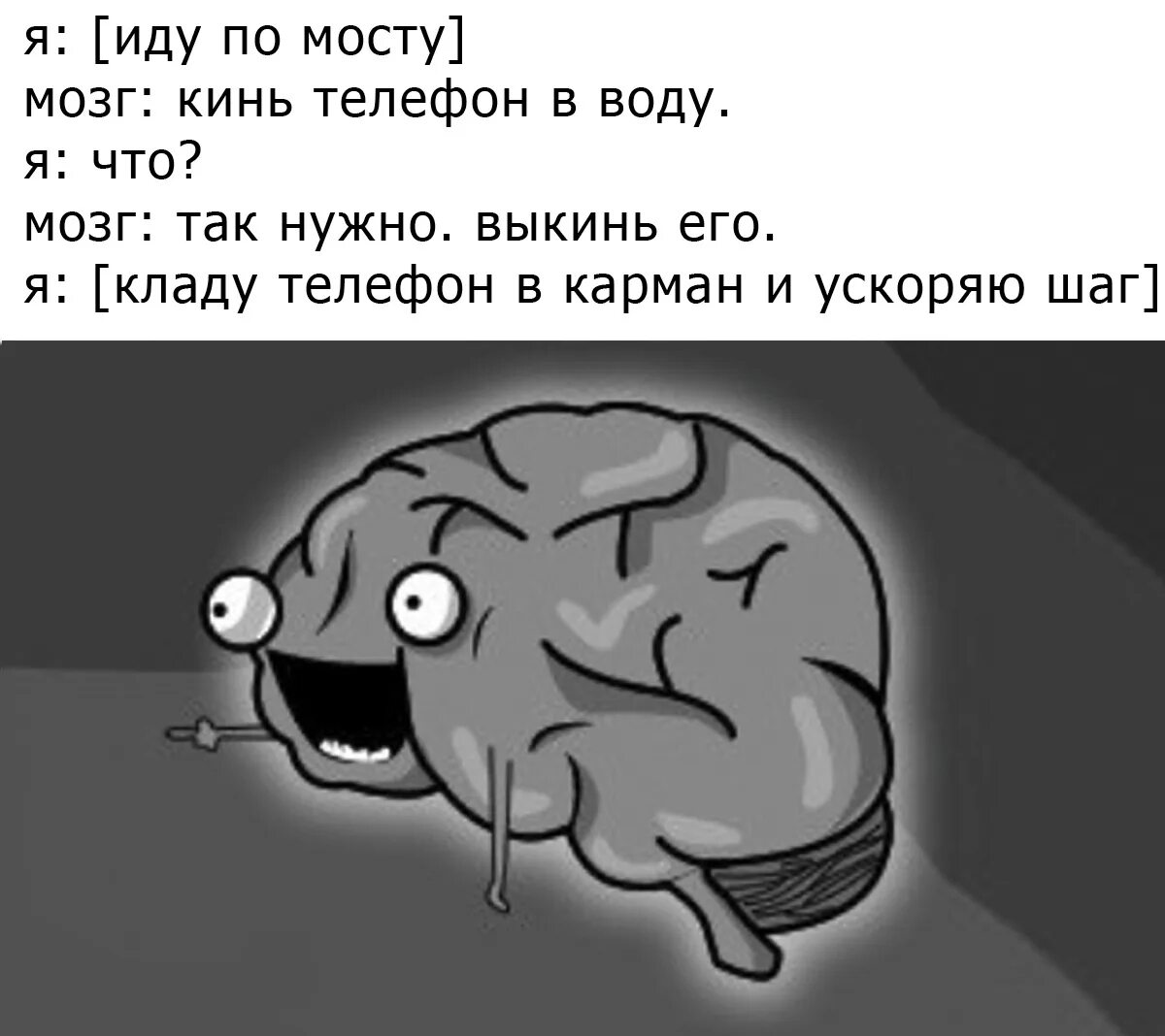 Шутки про мозг. Мозг прикол. Смешные шутки про мозг. Кидай дурак